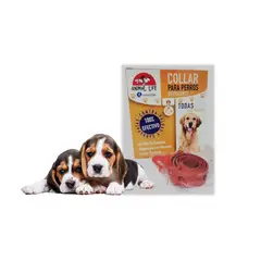 VISUALHEX LIMITADA - Collar Anti Pulgas Repelente Garrapatas Perros Toda Raza