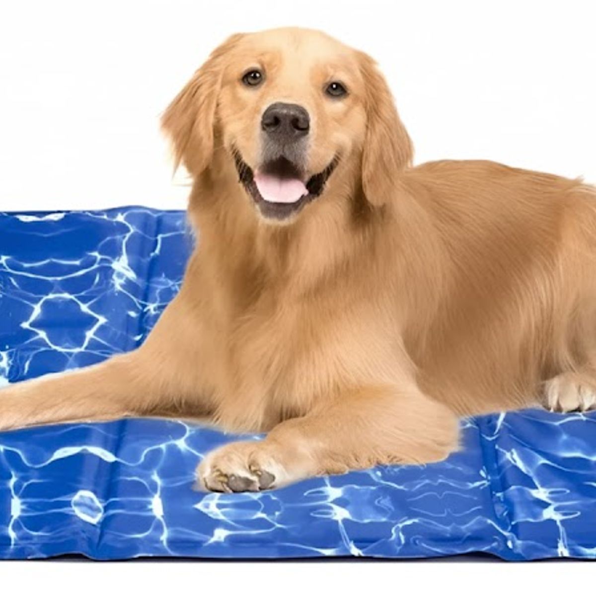 GENERICO - Manta De Gel Frio Refrescante Talla M 40x50cm Perros Gatos Surtidas