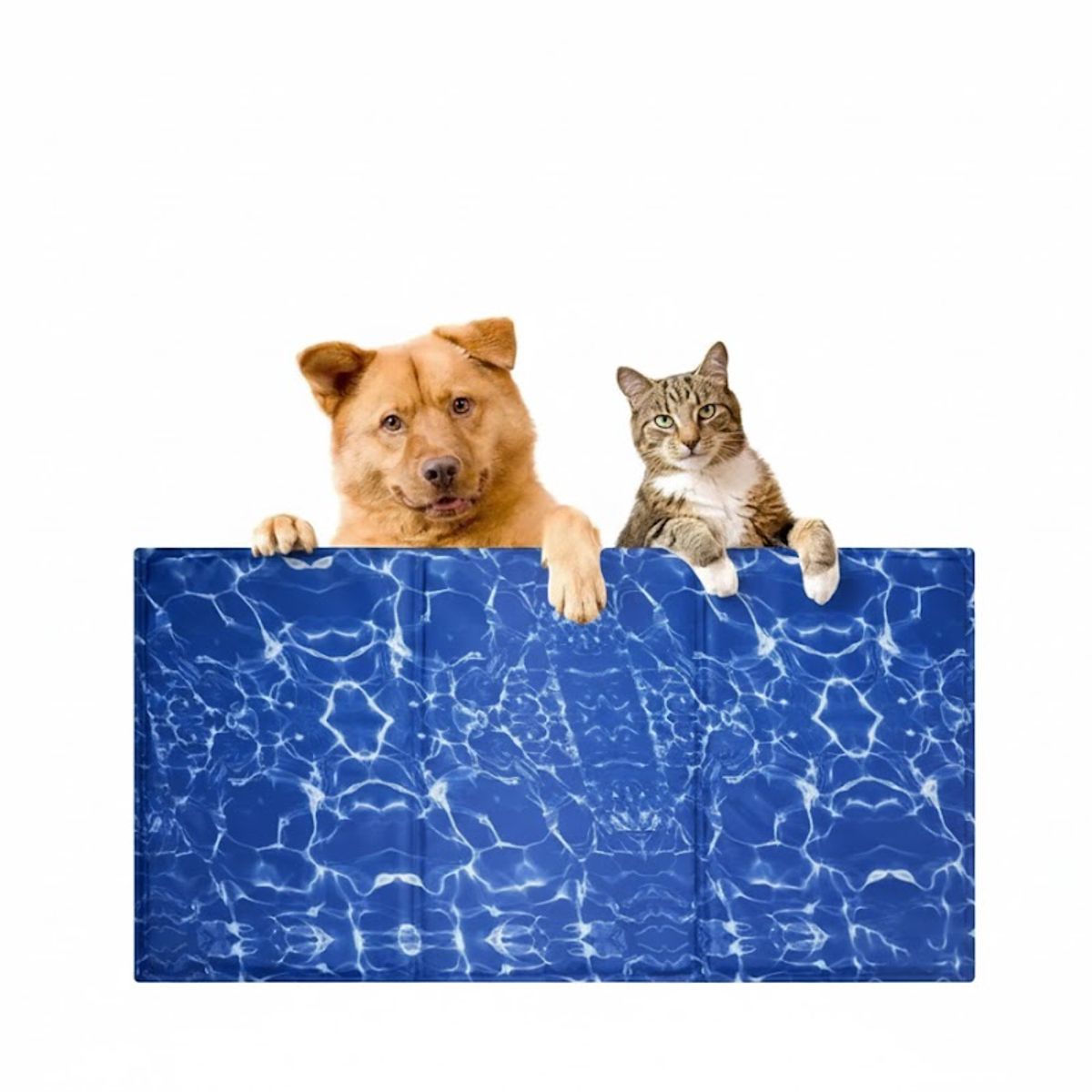 GENERICO - Manta De Gel Frio Refrescante Talla M 40x50cm Perros Gatos Surtidas