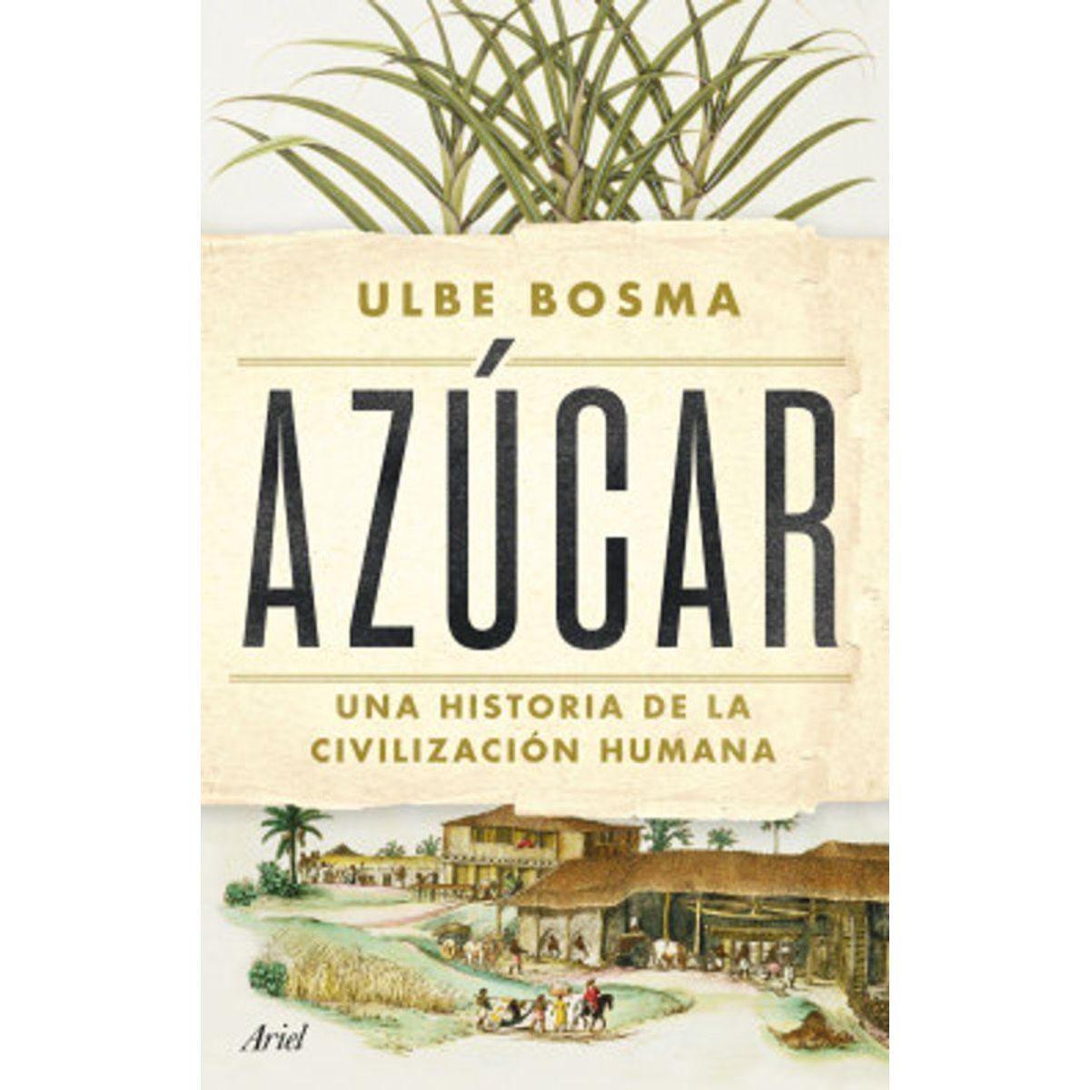 ANTARTICA LIBROS - Azucar Una Historia De La Civilizacion Humana