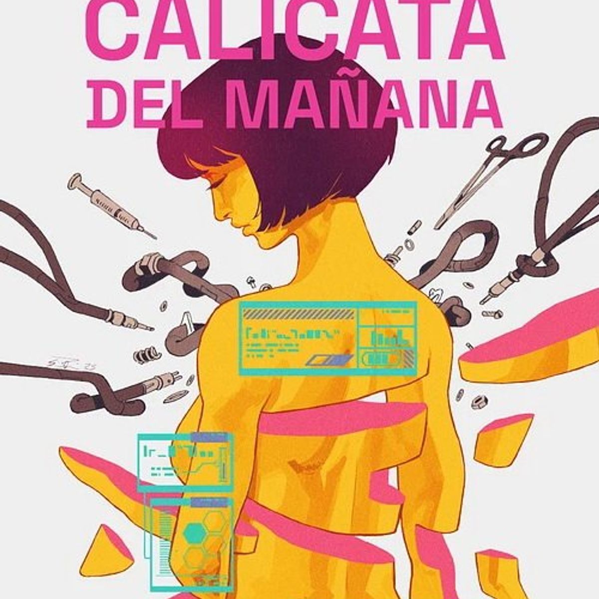 ANTARTICA LIBROS - Calicata Del Mañana
