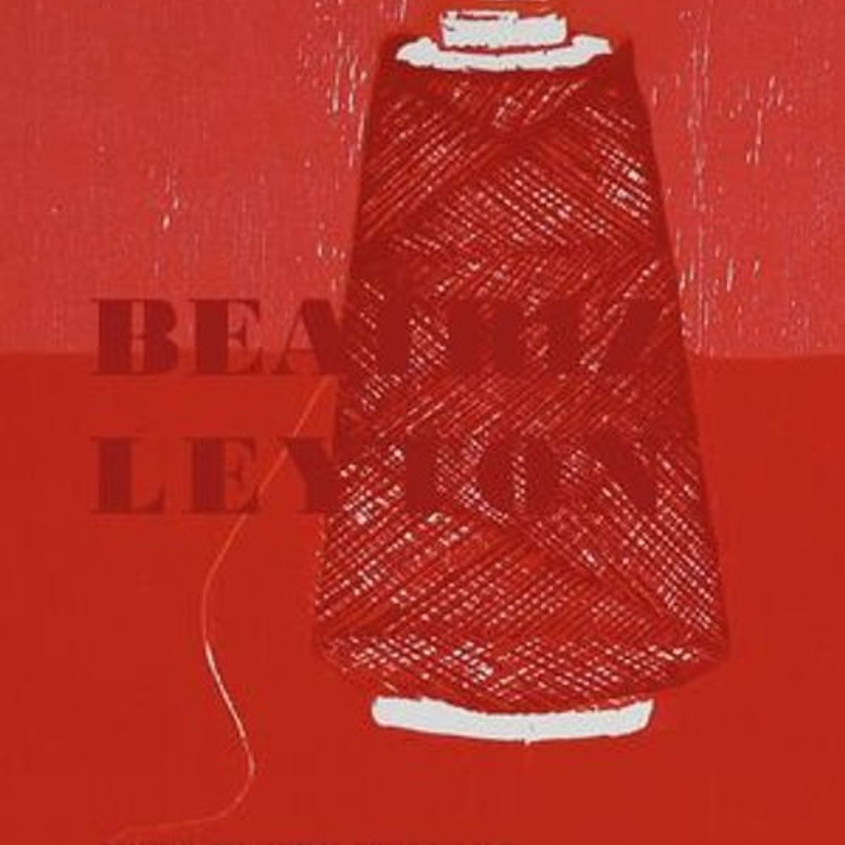 ANTARTICA LIBROS - Beatriz Leyton