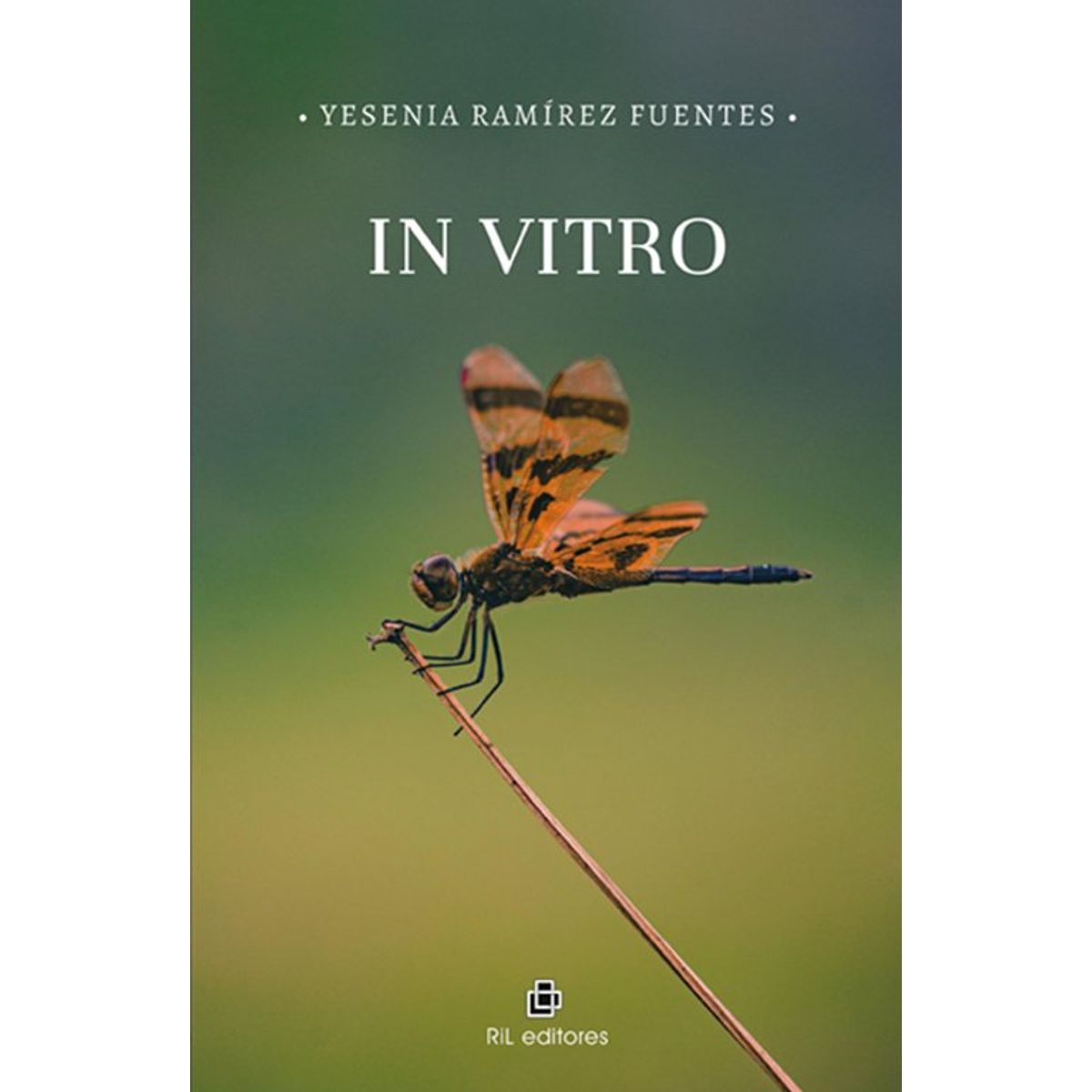 ANTARTICA LIBROS - In Vitro