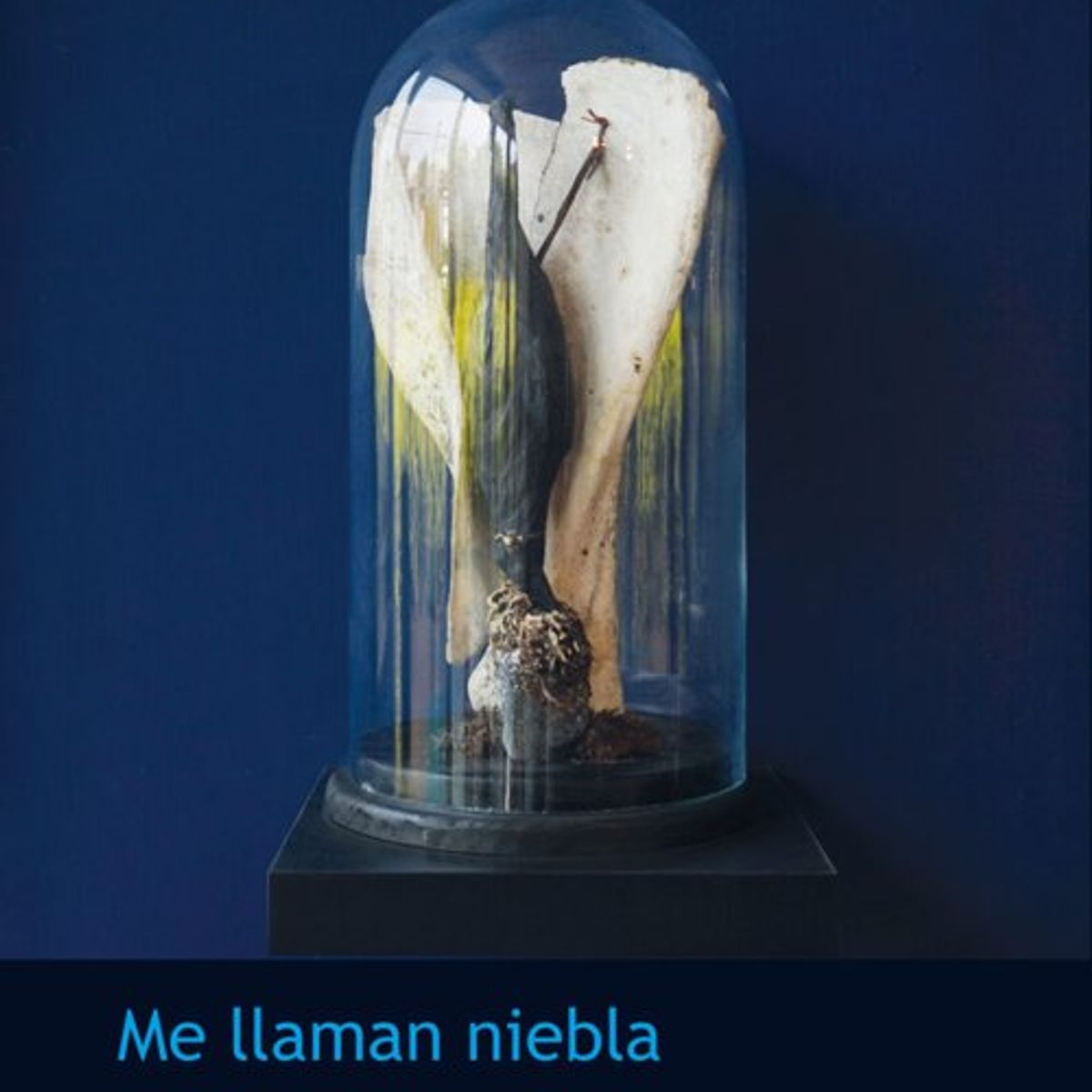 ANTARTICA LIBROS - Me Llaman Niebla