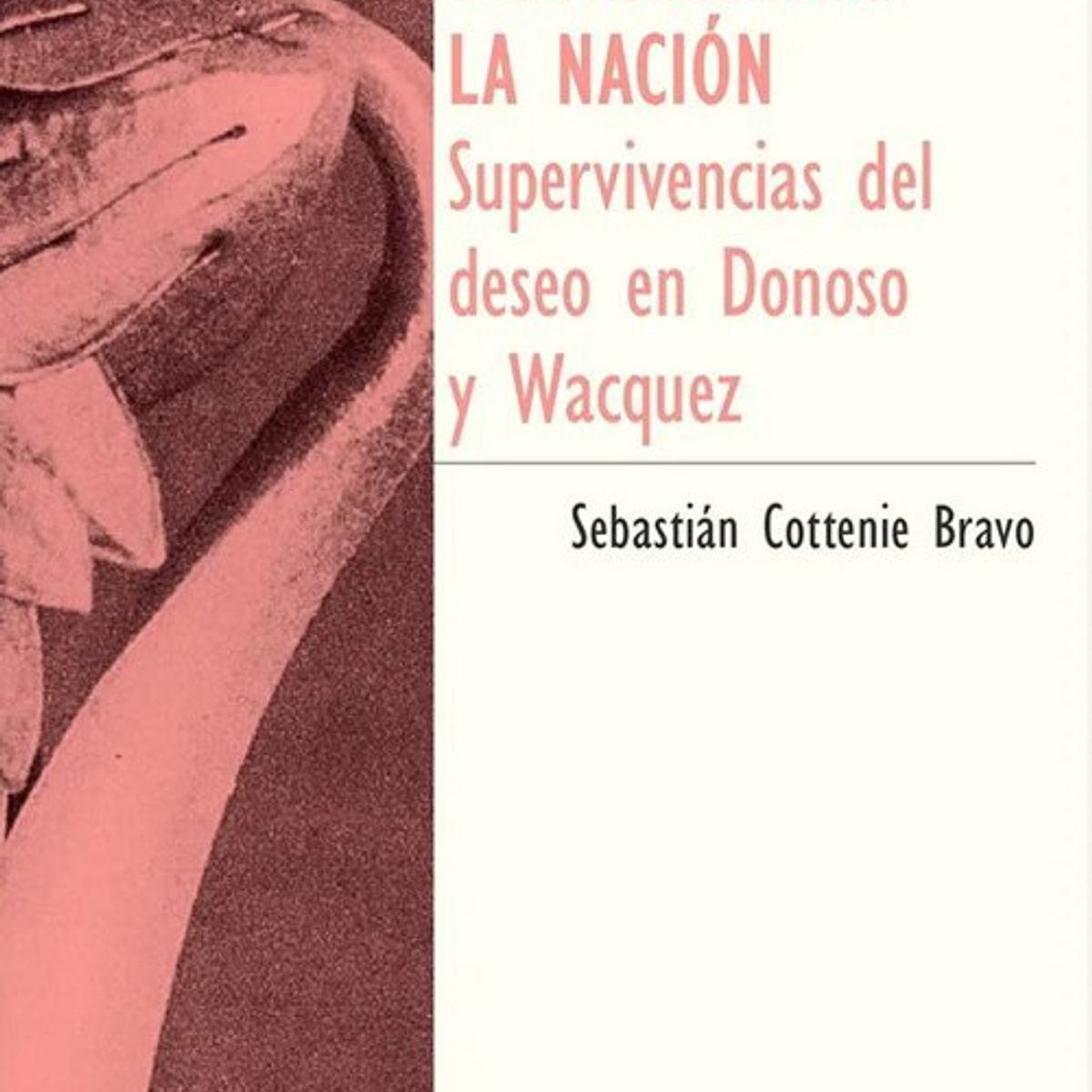 ANTARTICA LIBROS - Desfigurando La Nacion Supervivenvias Del Deseo En Donoso Y Wacquez