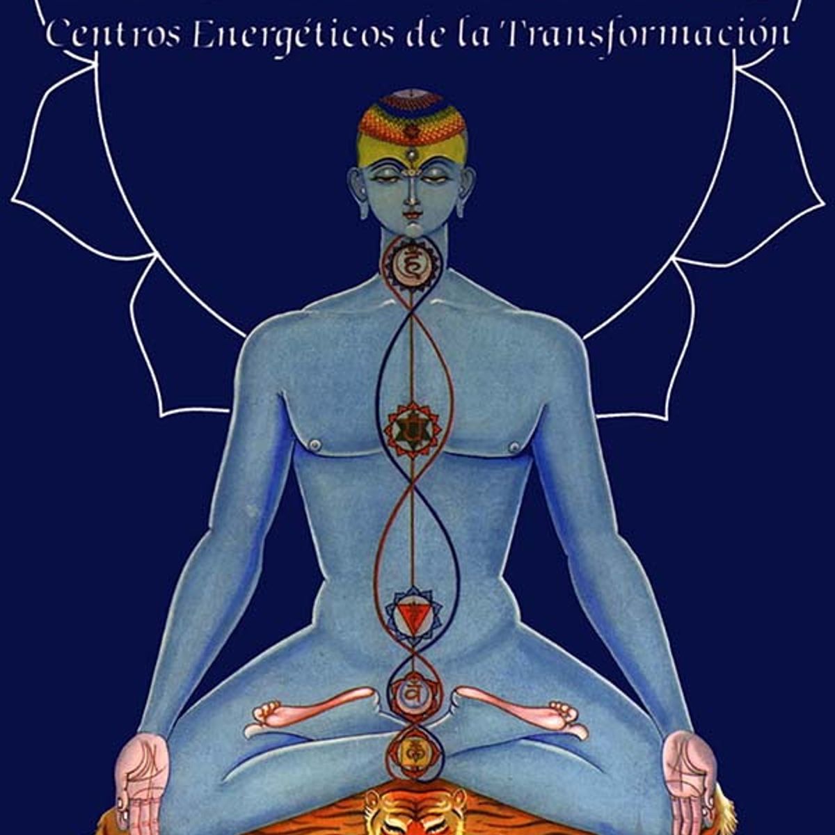 ANTARTICA LIBROS - Los Chakras