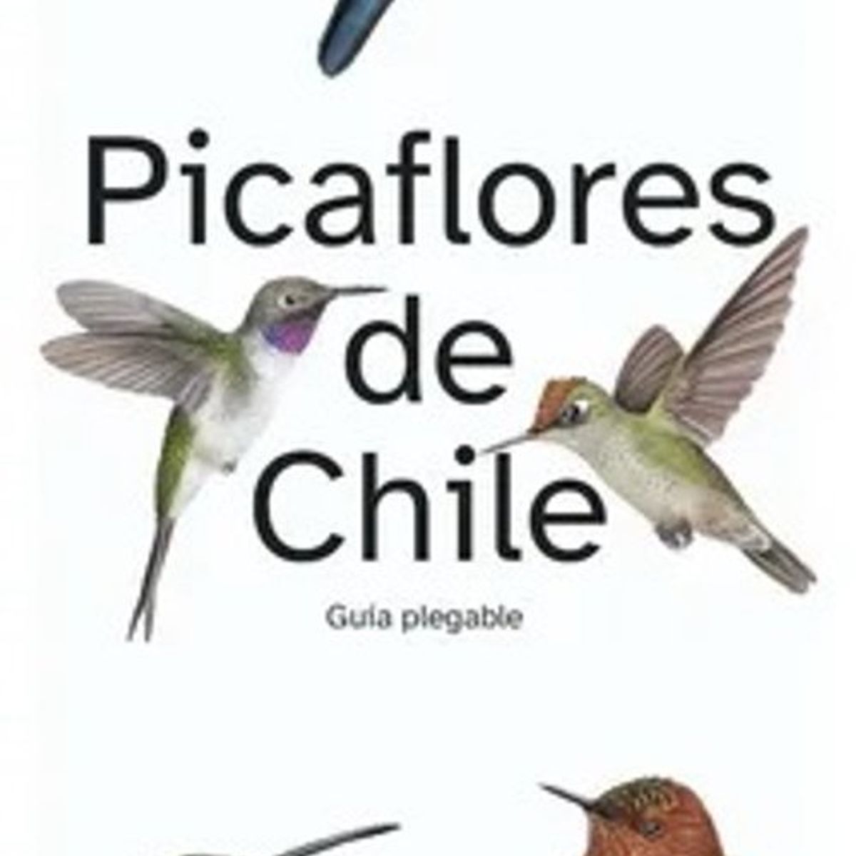ANTARTICA LIBROS - Picaflores De Chile Guia Desplegable
