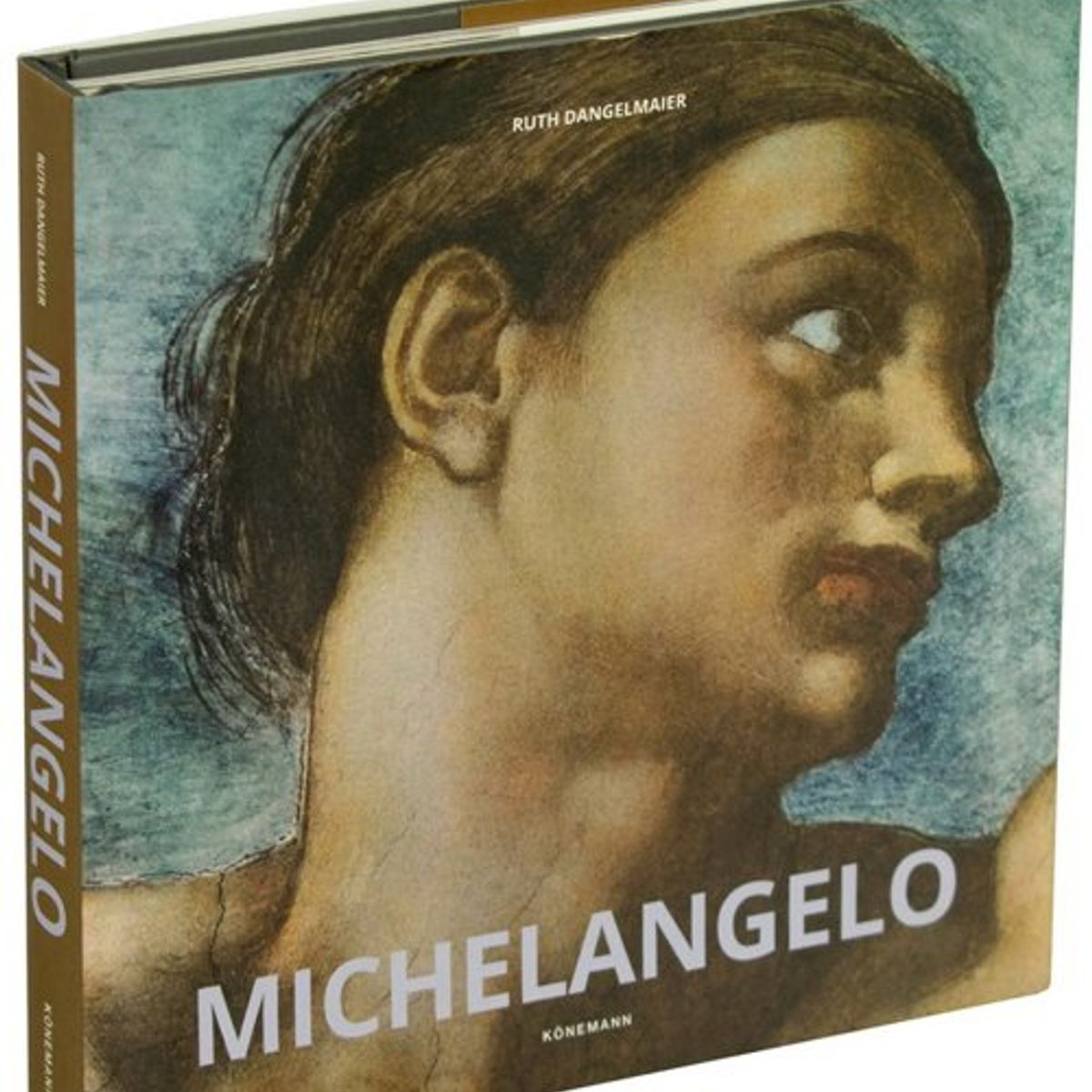 ANTARTICA LIBROS - Michelangelo