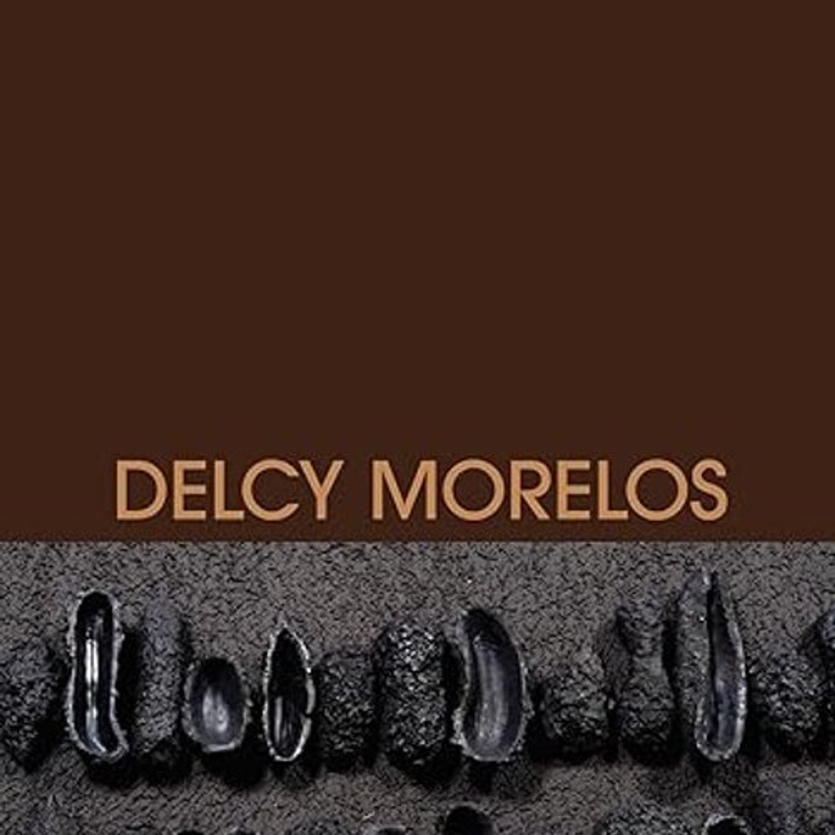 ANTARTICA LIBROS - Delcy Morelos