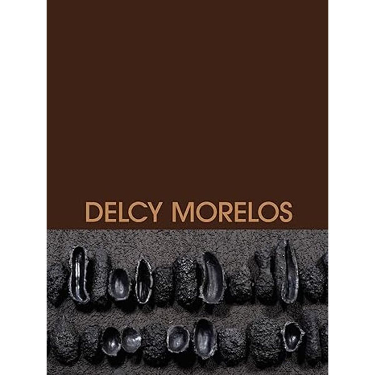ANTARTICA LIBROS - Delcy Morelos
