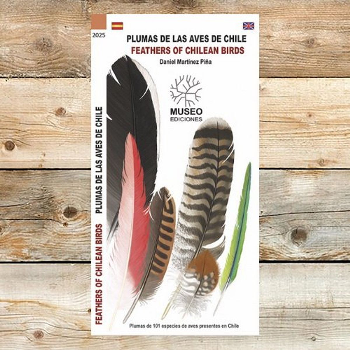 ANTARTICA LIBROS - Plumas De Las Aves De Chile