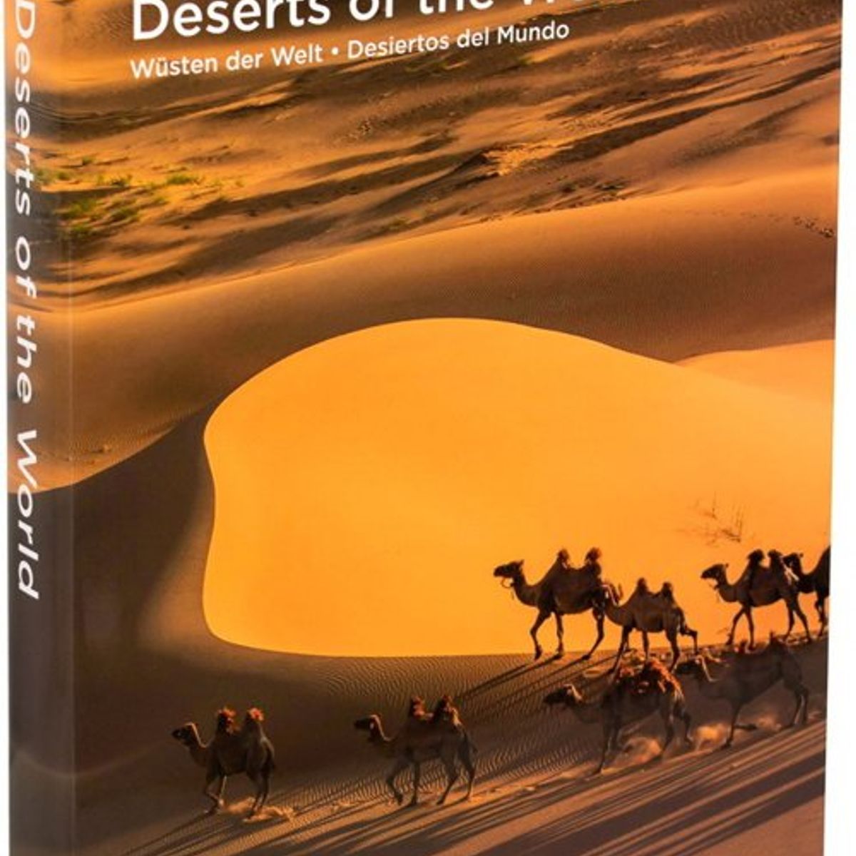 ANTARTICA LIBROS - Deserts Of The World
