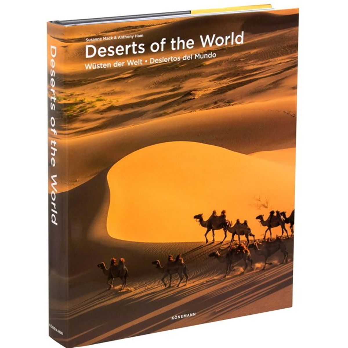 ANTARTICA LIBROS - Deserts Of The World