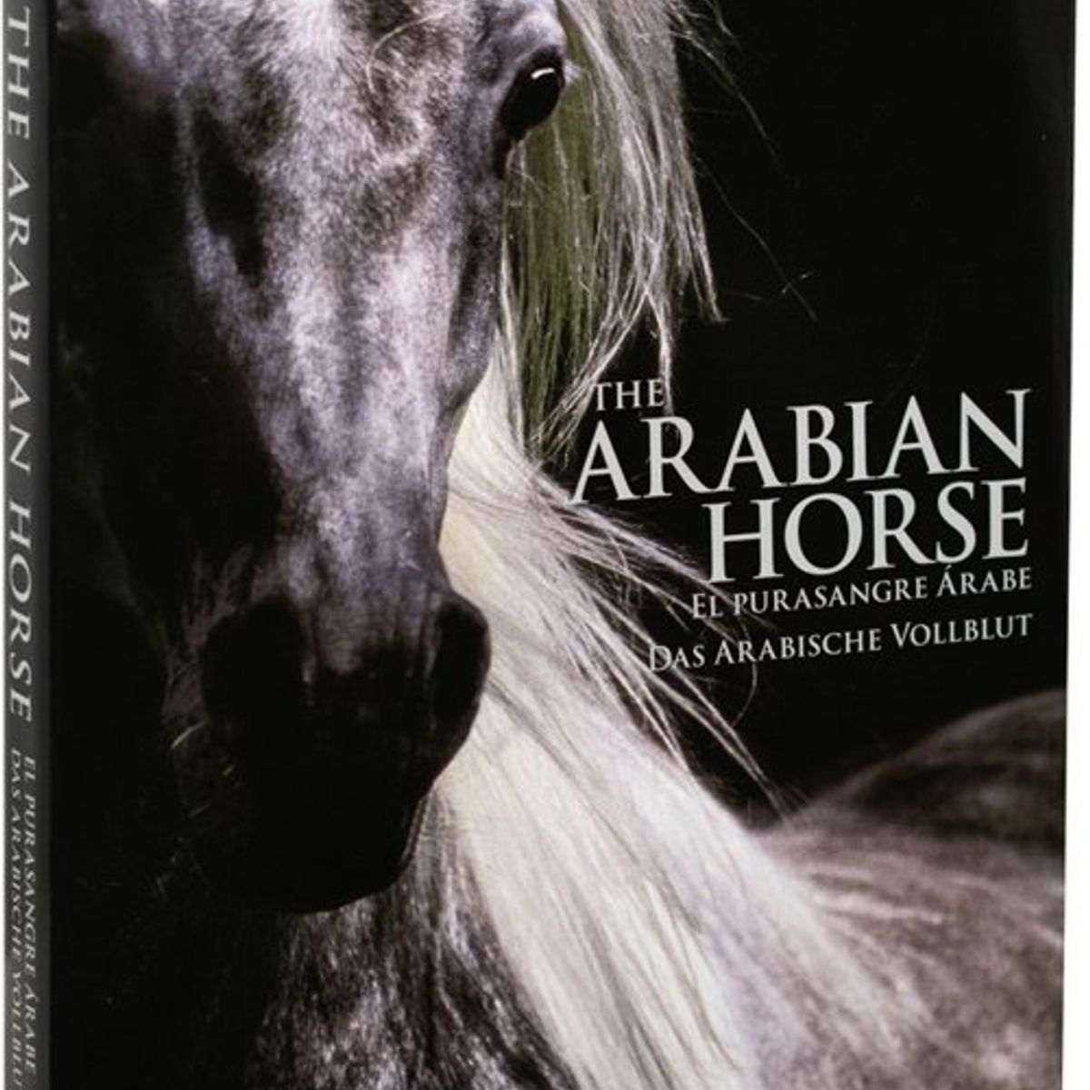 ANTARTICA LIBROS - Arabian Horses