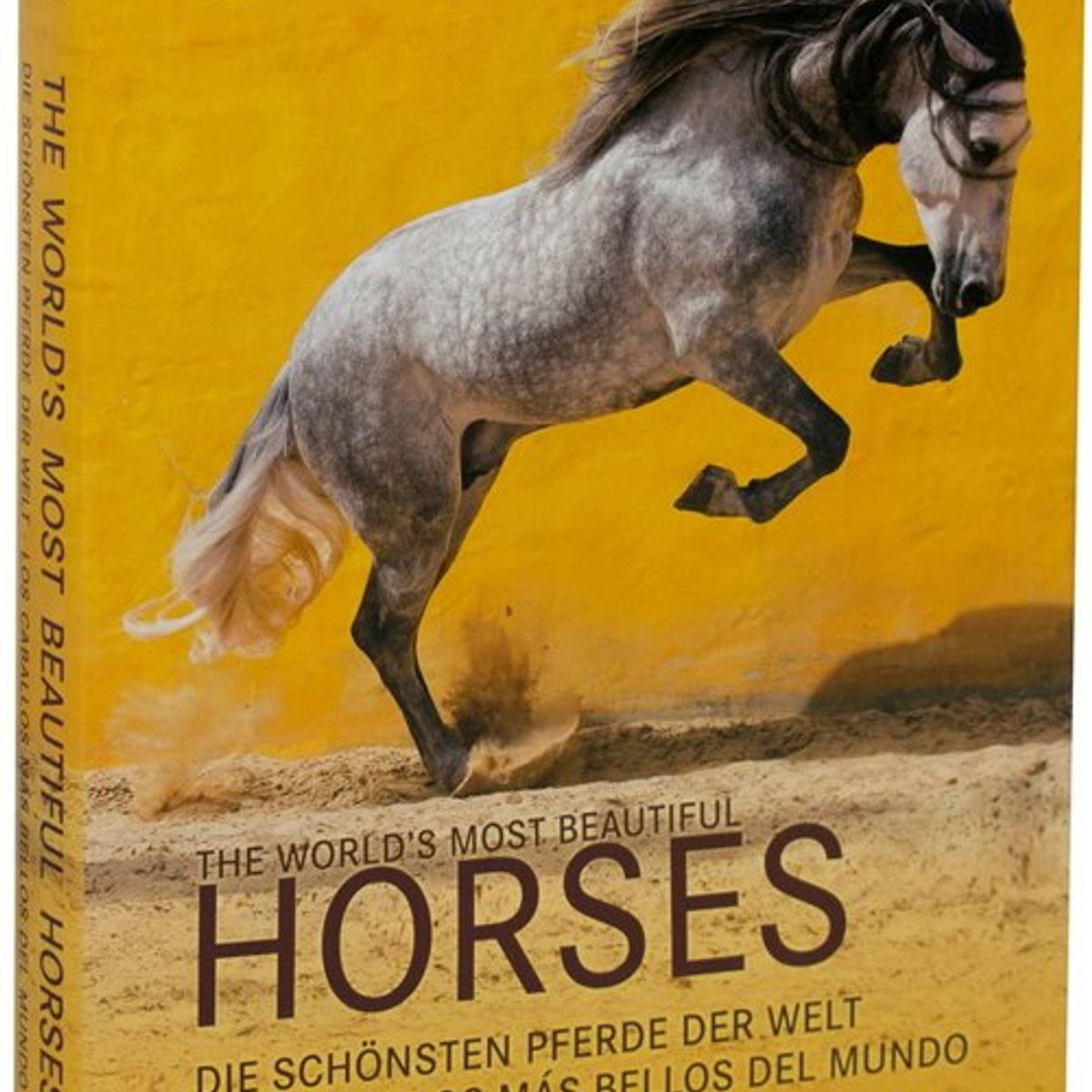 ANTARTICA LIBROS - The Worlds Most Beautiful Horses