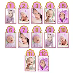 GENERICO - GUIRNALDA FOTO 12 MESES ROSADO X1 UNI