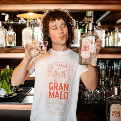 Imagen 2 del producto Licor de Tequila Gran Malo Spicy Tamarindo 30° 750cc