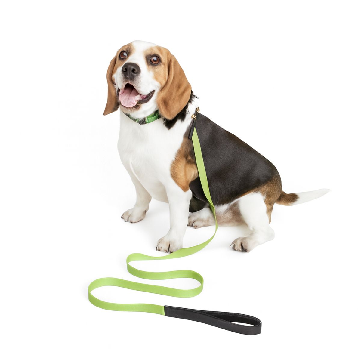 HOOPET - Collar Con Funda Airtag Para Perros O Gatos Mascotas - Verde Claro MEDIUM