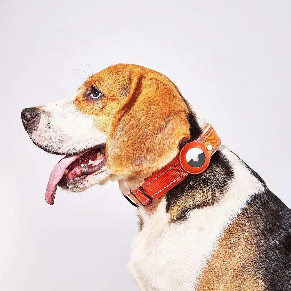 Collar Con Funda Airtag Para Perros O Gatos Mascotas, marca HOOPET - Foto 2