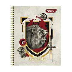 TORRE - Cuadclasico Harry Potter 7M 100H