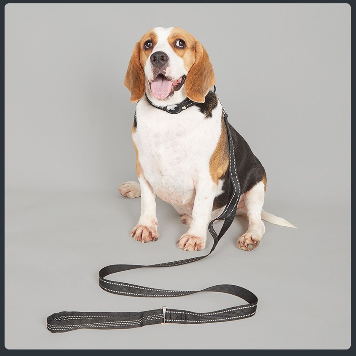HOOPET - Collar Con Funda Airtag Para Perros O Gatos Mascotas  Negro XL