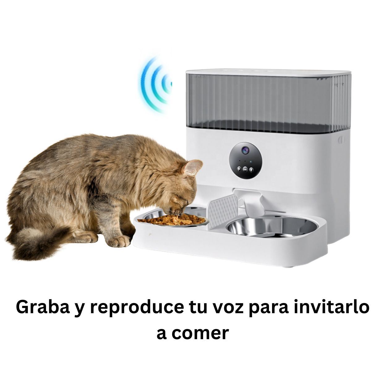 GENERICO - Comedero Automático Wifi Mascotas Alimentación Programable