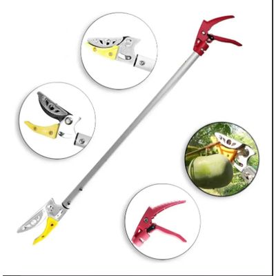 Imagen 2 del producto Podadora Telescópica Podadora De Largo Alcance