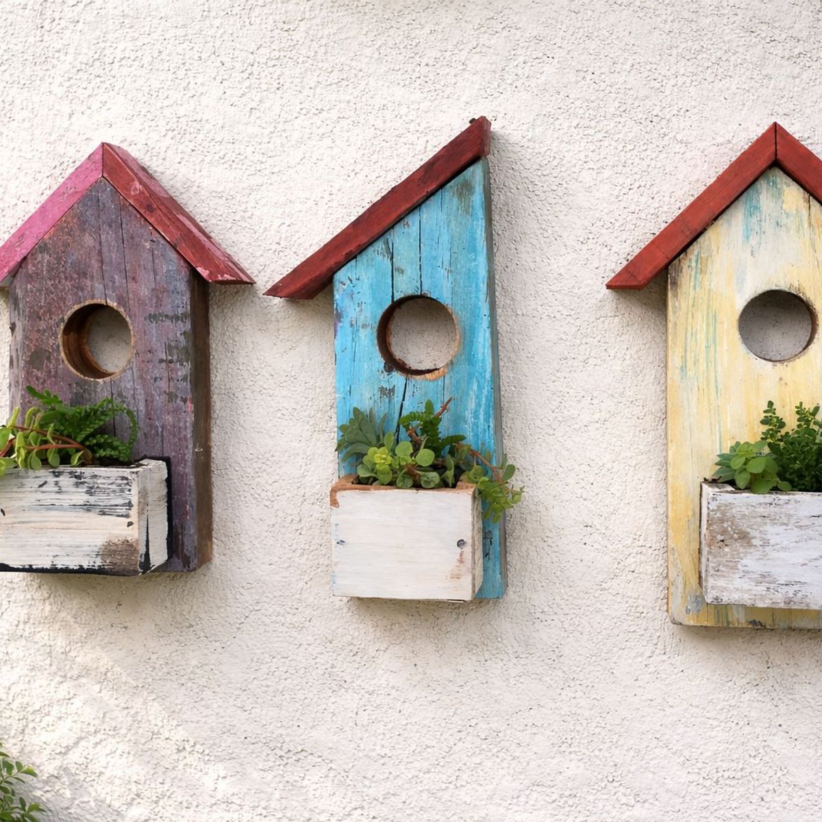 GENERICO - Porta Suculentas Casita Colgante Estilo Vintage