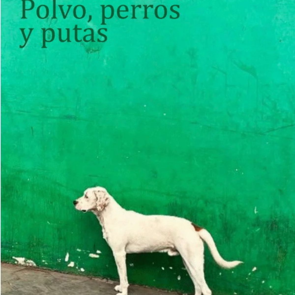 ANTARTICA LIBROS - Polvo Perros Y Putas