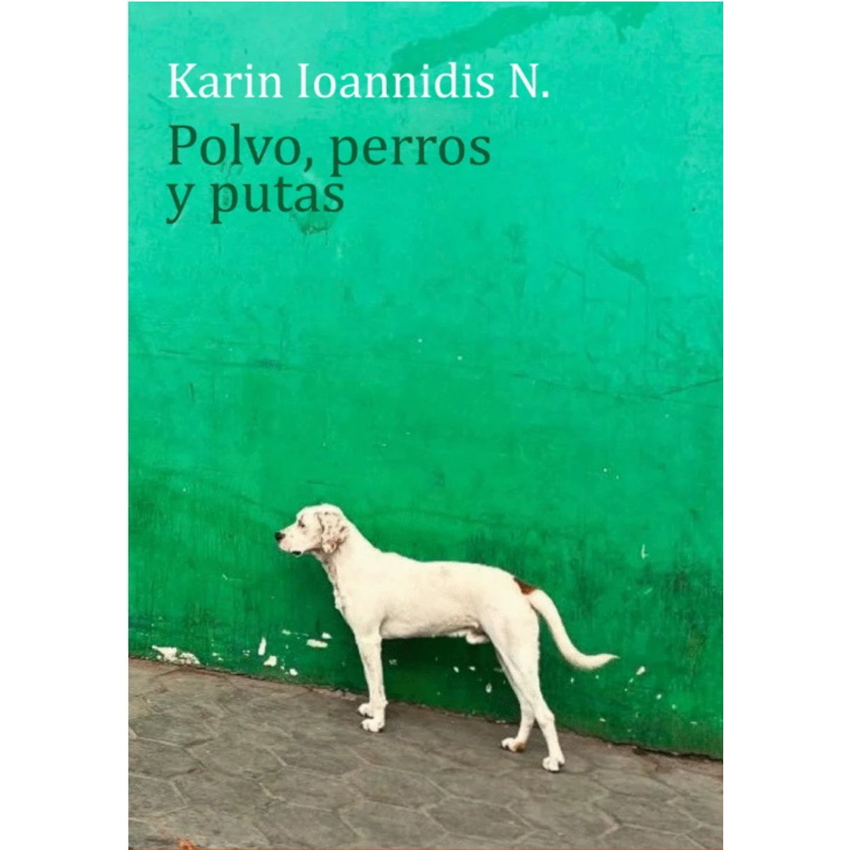 ANTARTICA LIBROS - Polvo Perros Y Putas