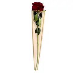 GENERICO - ENVOLTORIO ROSAS BE FLOWER ROSADO X50UNI