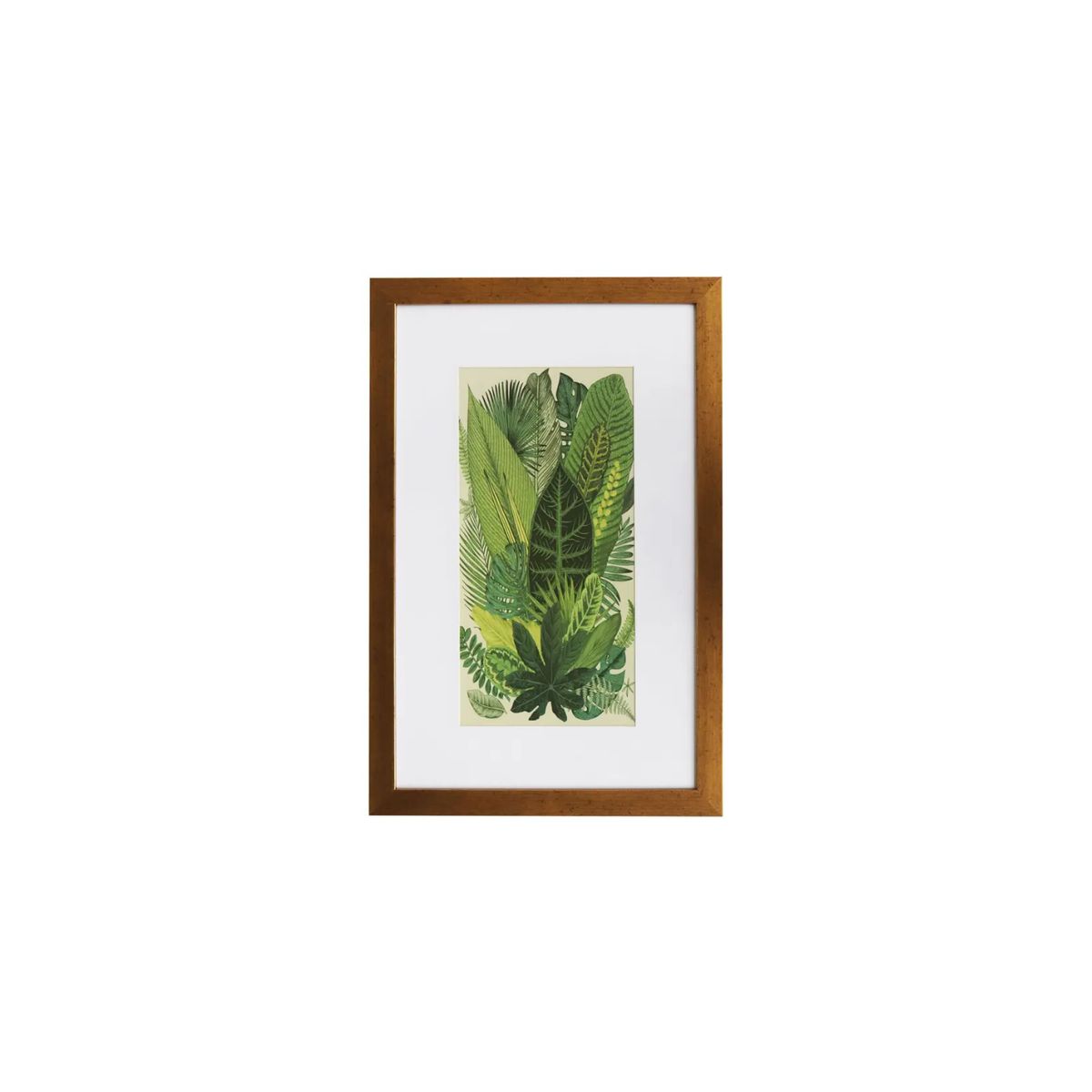 GENERICO - Cuadro 40x60cm hojas verdes