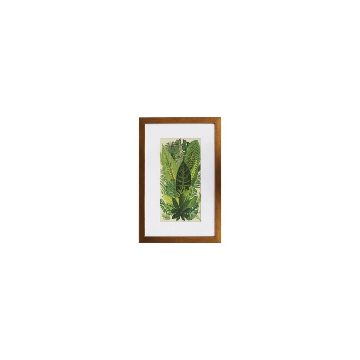 GENERICO - Cuadro 40x60cm hojas verdes