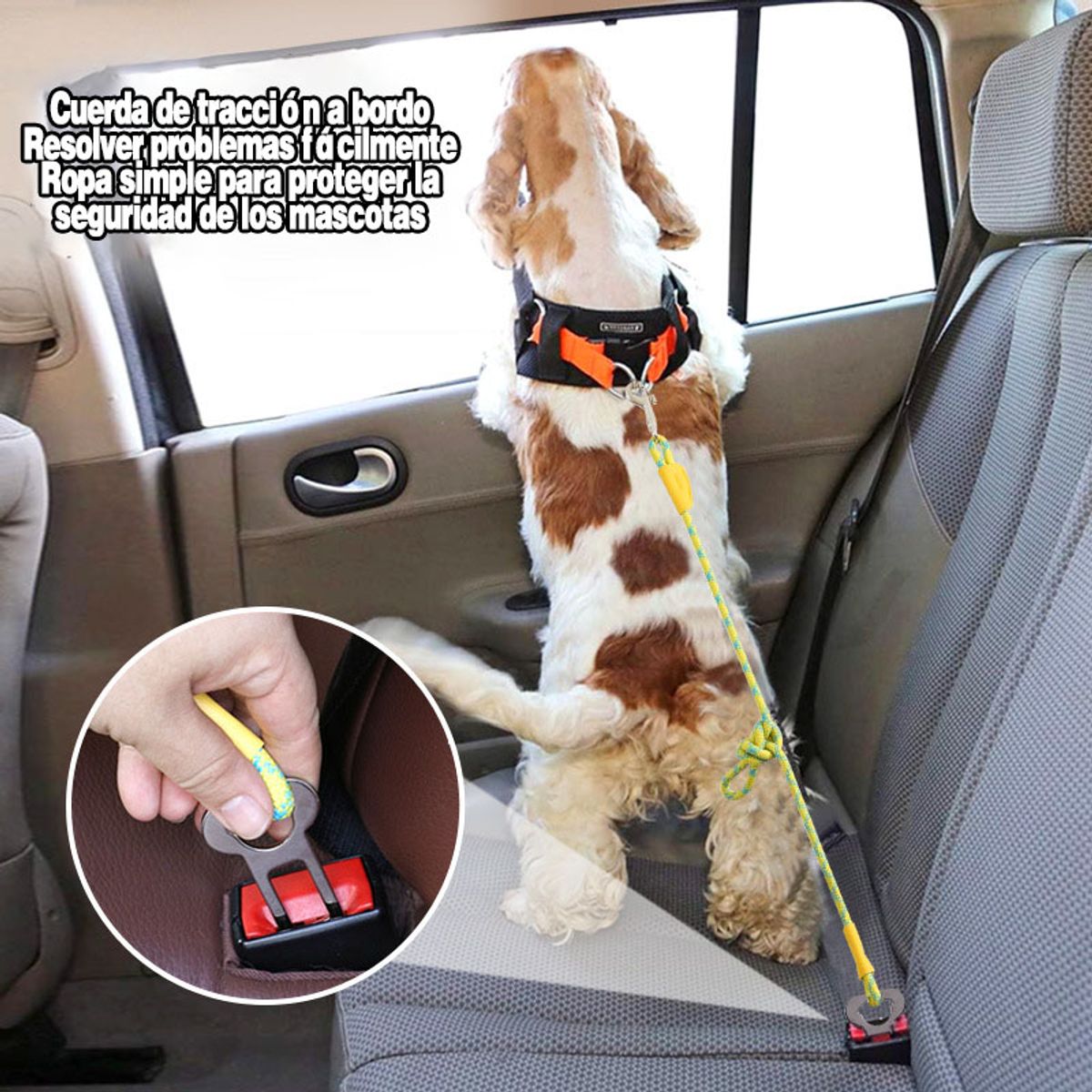 GENERAL - Para Mascotas Cuerda De Tracción De Seguridad A Bordo