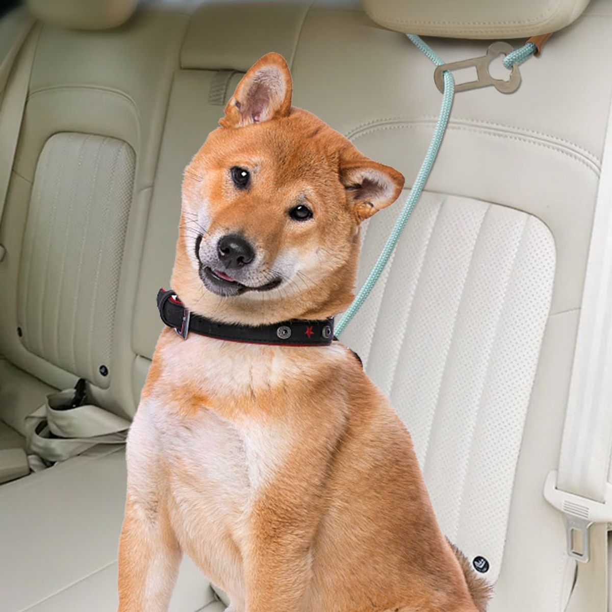 GENERAL - Para Mascotas Cuerda De Tracción De Seguridad A Bordo