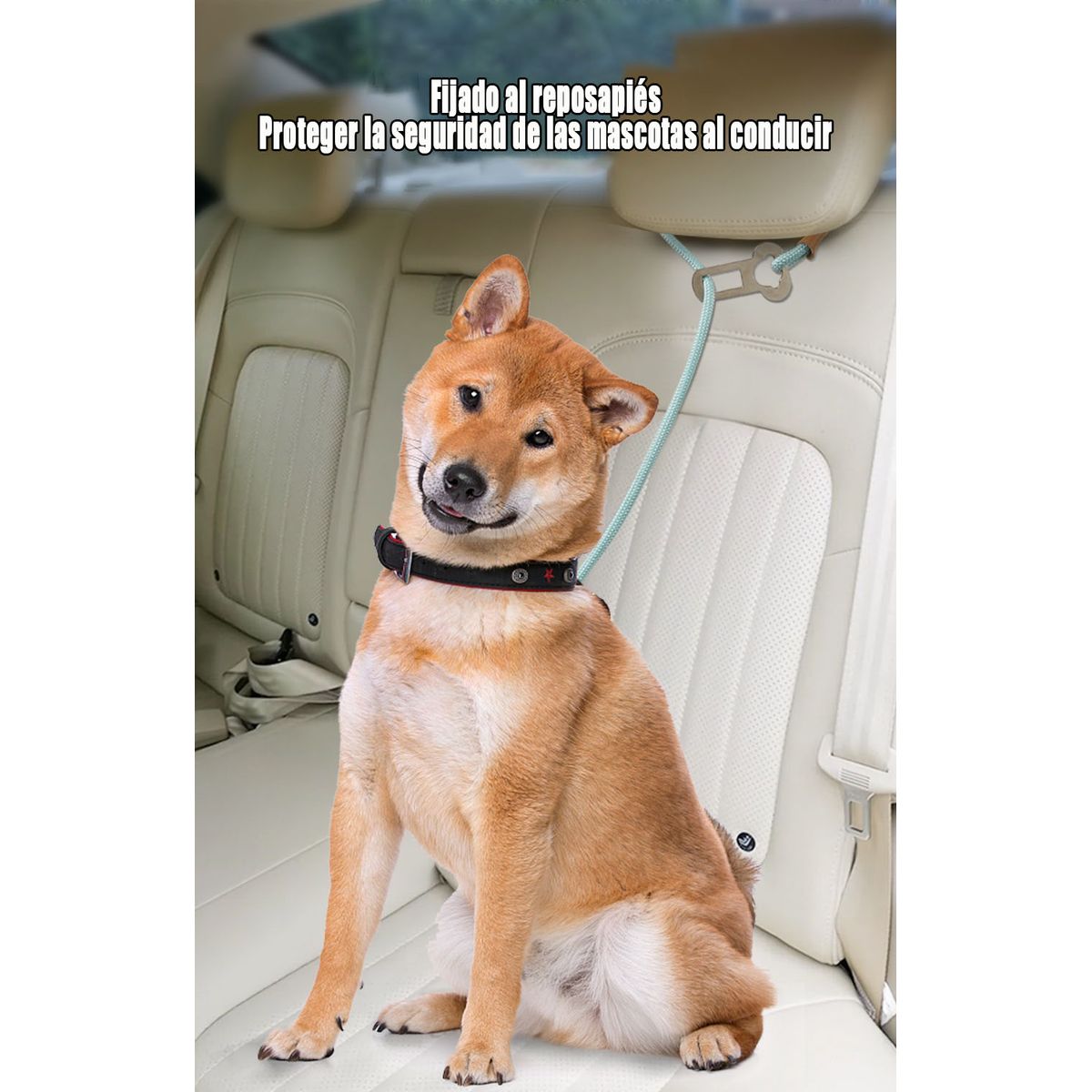 GENERAL - Para Mascotas Cuerda De Tracción De Seguridad A Bordo