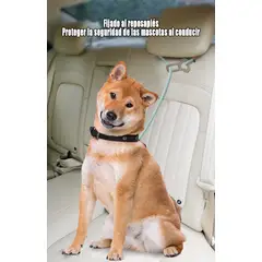 GENERAL - Para Mascotas Cuerda De Tracción De Seguridad A Bordo