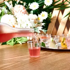 GENERICO - Set 100 Vasos Postres Pocillos 110mL Plastico Transparente