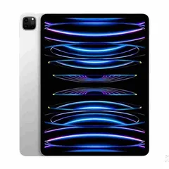 iPad Pro 13インチ M5(2025) Wi-Fiモデル 256GB APPLE iPad Pro 13
