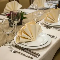 GENERICO - Pack de 20 servilletas de tela 30×30 cm Crema Intenso