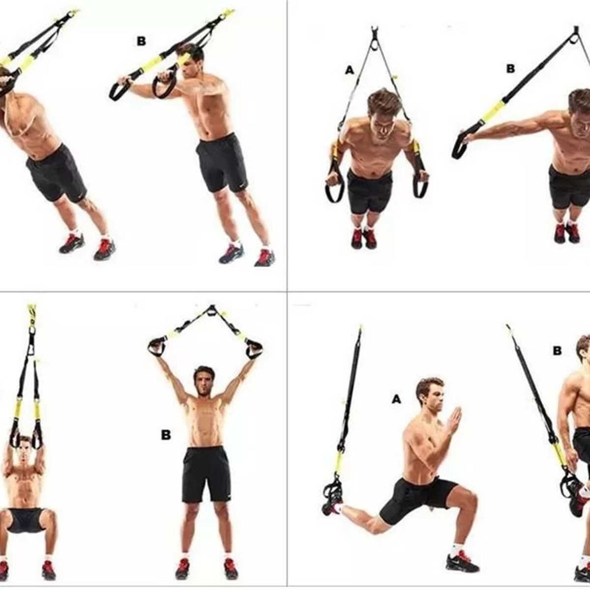 MOVI - BANDA DE ENTRENAMIENTO EN SUSPENCION TRX