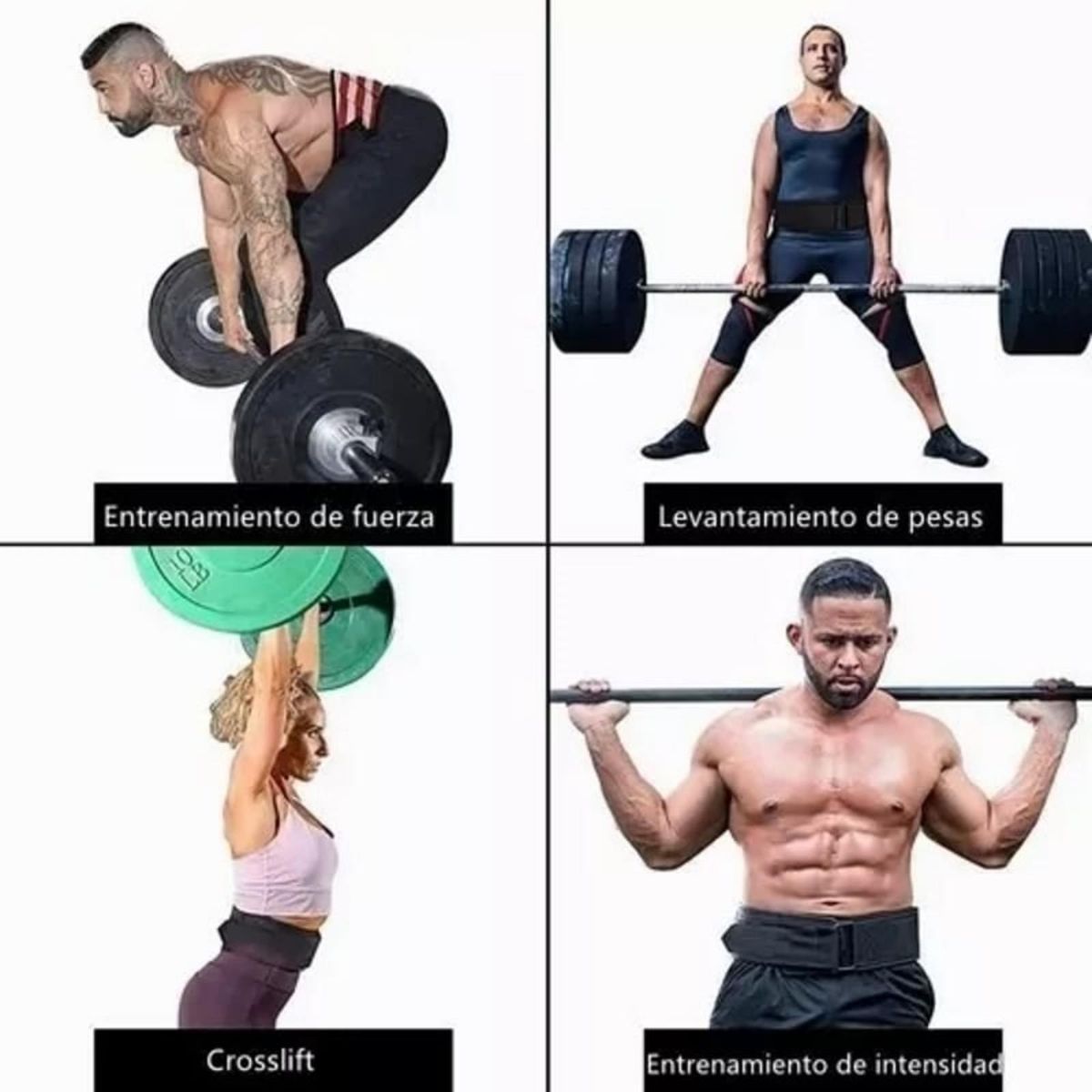 BLUEDREAMER - Cinturón de compresión para fitness cinturón de soporte lumbar elástico inverso