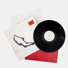 GENERICO - PJ Harvey I Inside The Old Year Dying Vinilo Negro