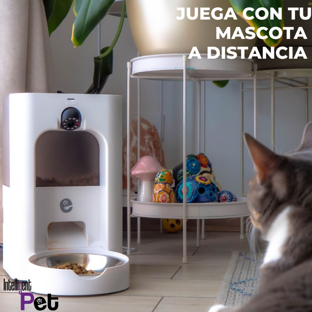 GENERICO - Alimentador Automático Intelligent Pet