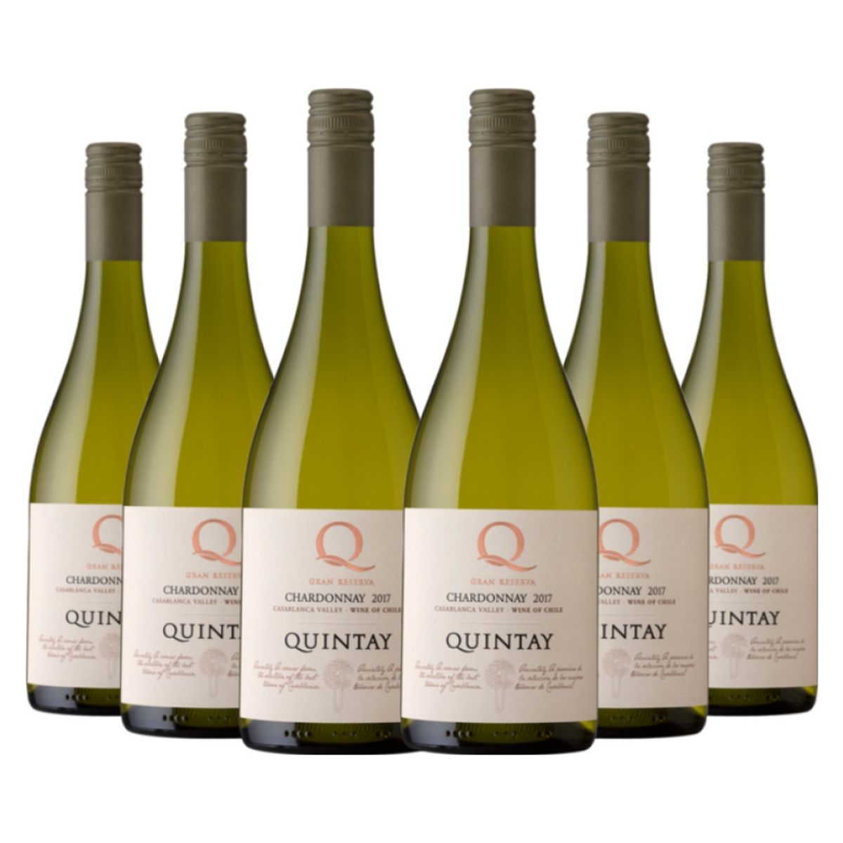 QUINTAY - 6 vinos Quintay Q Chardonnay (Barrica)