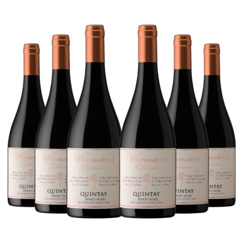 QUINTAY - 6 vinos Quintay Experience Pinot Noir
