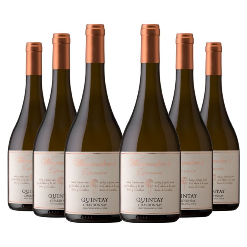 QUINTAY - 6 vinos Quintay Experience Chardonnay