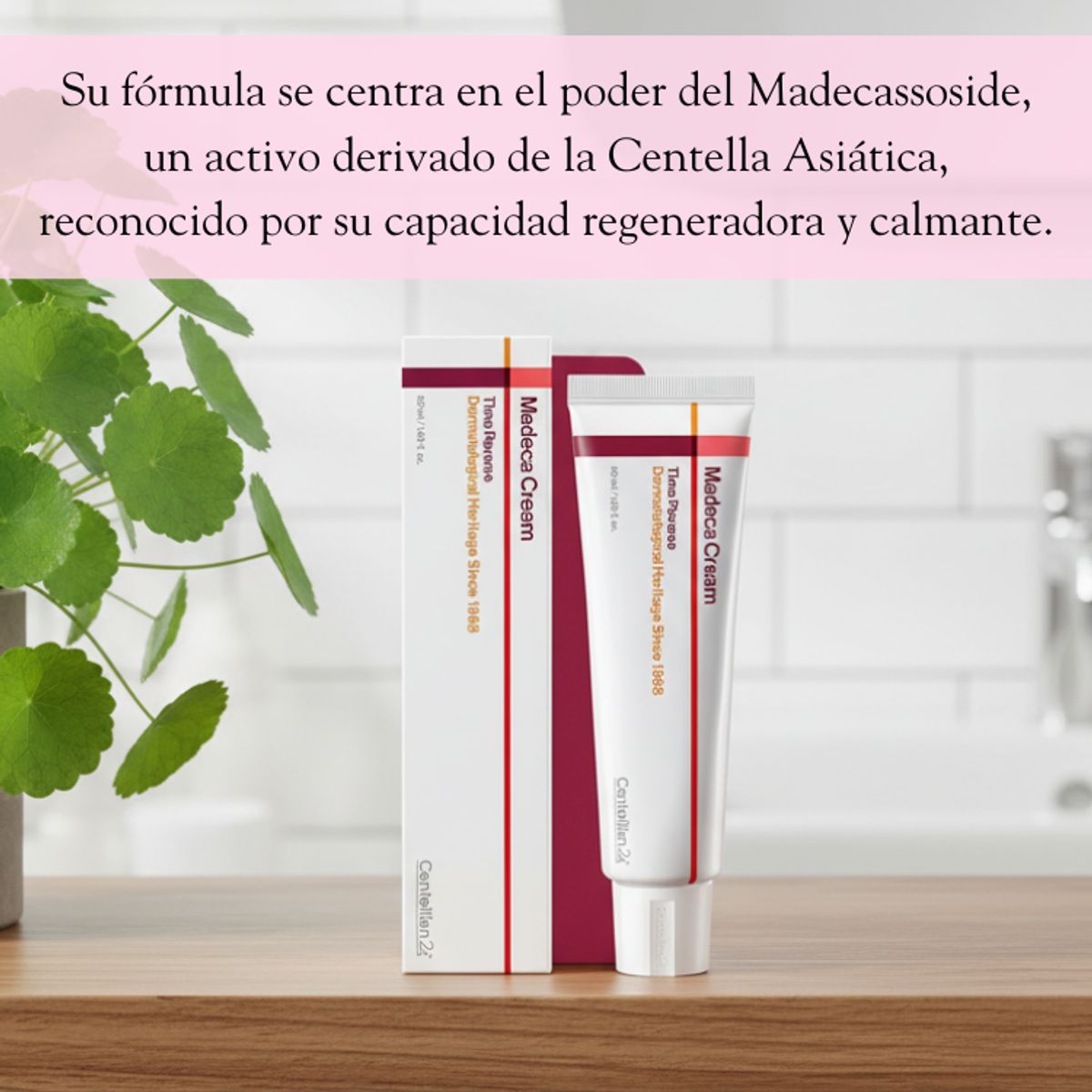 CENTELLIAN 24 - Crema Reparadora Antiedad The Madeca Time Reverse 50ml Centellian 24
