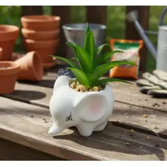 GENERICO - Mini Macetero De Decoracion Estilo Jardin Bonsai De Mesa