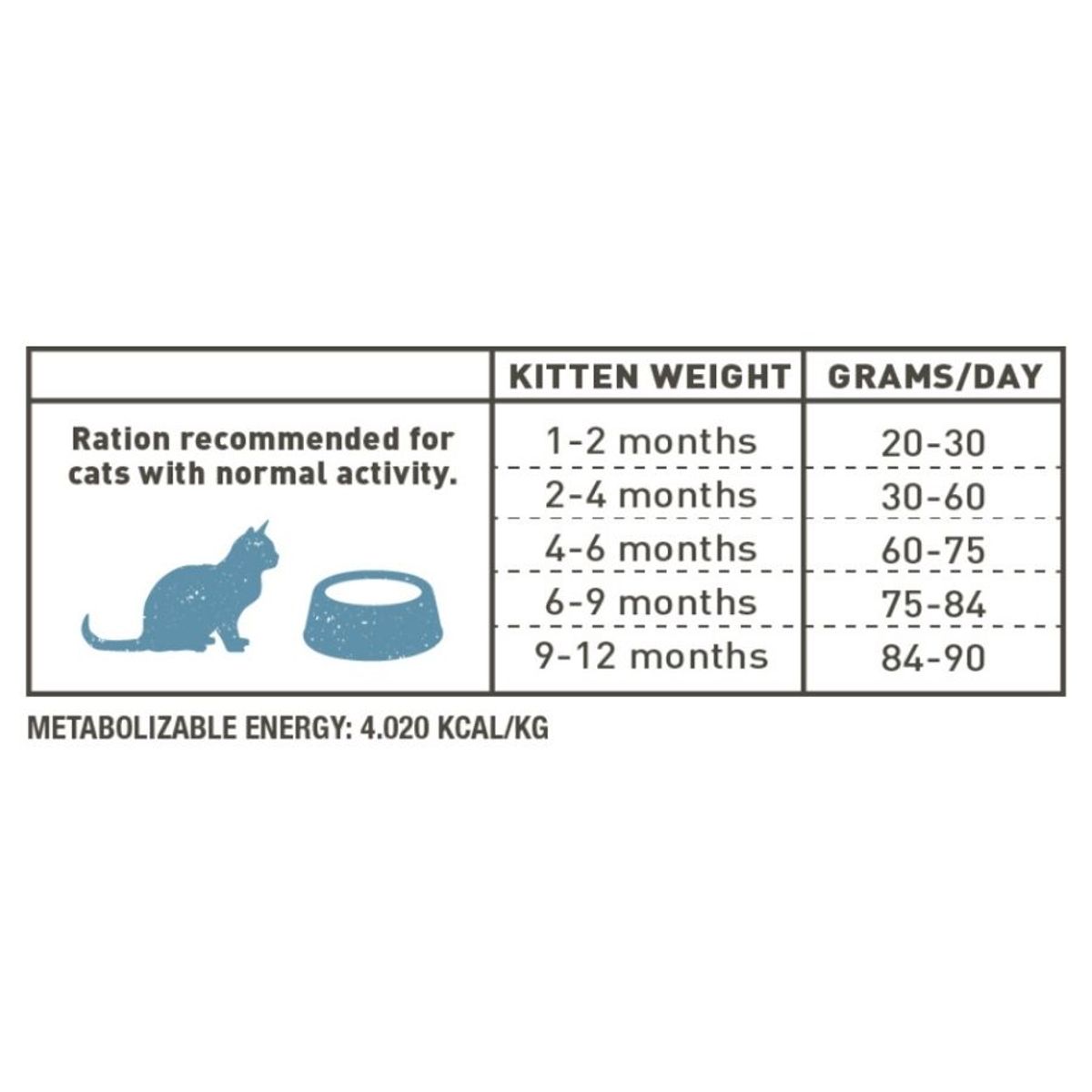 BRAVERY - Bravery Chicken Gatito